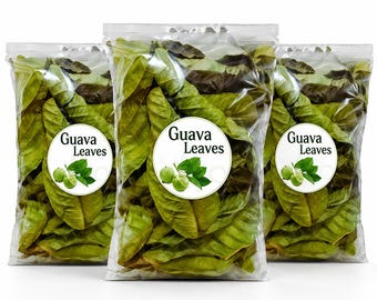 500 Hojas Secas de Guayaba - Té Natural de Psidium Guajava, Hojas de Guayaba