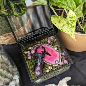 Window decoration insect | Showcase with stag beetle kite | Pink precious stone agate showcase | Curiosity cabinet