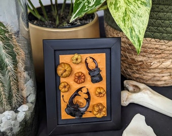 Stag beetle kite decoration frame | Orange Halloween Pumpkin Frame | Curiosity cabinet