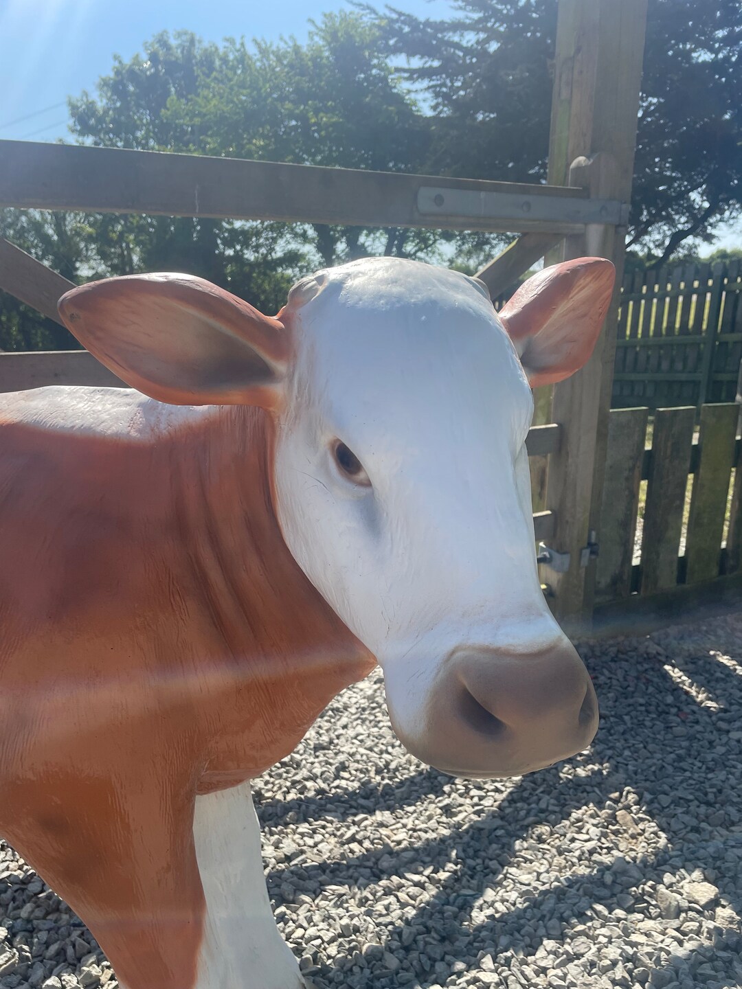 Lifesize Fibreglass Calf Cow Sculpture Statue Etsy UK