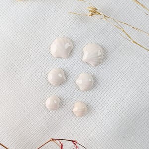 Puede incluir: Una colección de seis pequeñas conchas marinas blanquecinas dispuestas sobre una superficie blanca texturizada. Delicados tallos secos con diminutas flores se colocan cerca de las conchas. Las conchas varían en forma y tamaño, con un acabado brillante.