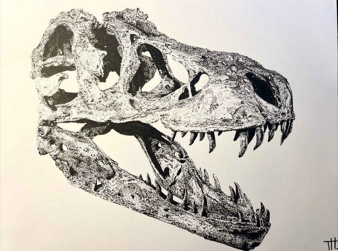 Dinosaur Skull Print - Etsy