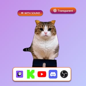 Könnte beinhalten: Eine digitale Grafik mit einer braun-weißen Katze, die auf einem schwarzen rechteckigen Objekt sitzt. Über der Katze befinden sich zwei Schaltflächen mit der Aufschrift WITH SOUND und Transparent. Unter der Katze befindet sich eine weiße Leiste mit Symbolen für Twitch, Kick, YouTube, Discord und OBS.
