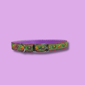 Colorful floral funky hippie style small dog and cat collar