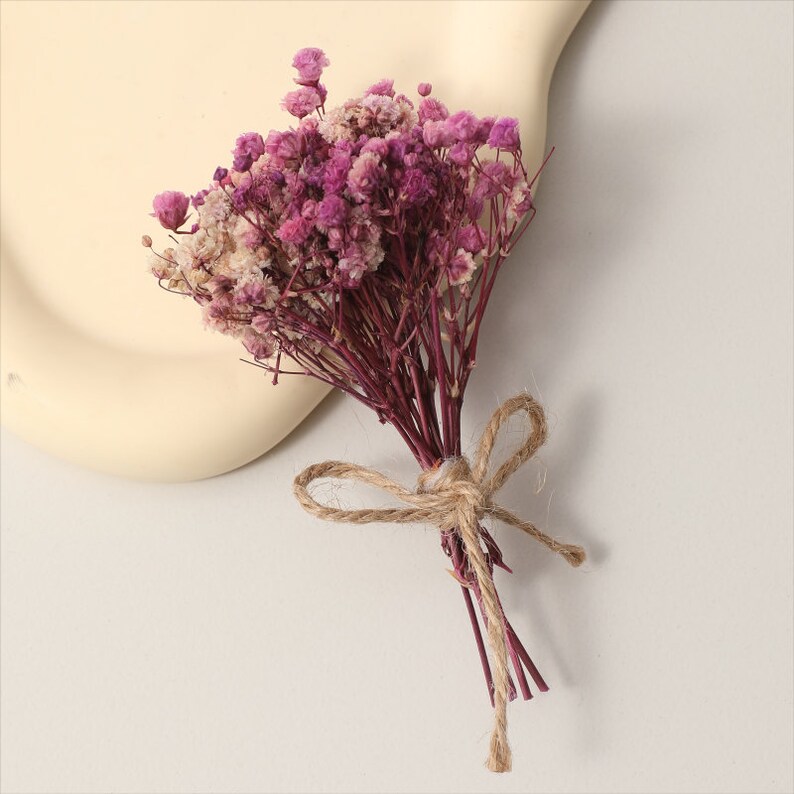 Dried Gypsophila Floral Bouquetmini Dry Flowers Etsy