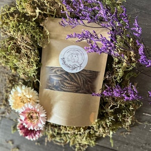 Dried Mealworms Treat Pack