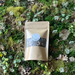 Sunflower Seed Treat Pack