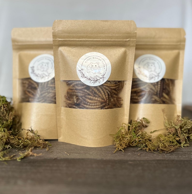 Dried Mealworms Treat Pack Etsy