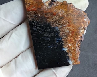 95 karat palmrotskiva. Högkvalitativ fossiliserad indonesisk palm. Kalcedonkvarts och jaspis. Del av den forntida jorden.