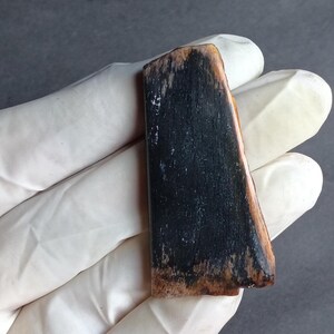 May include: A rectangular piece of wood with a dark, almost black, center and lighter brown edges. The wood grain is visible, and the piece has a slightly curved shape. The object is held by a gloved hand.