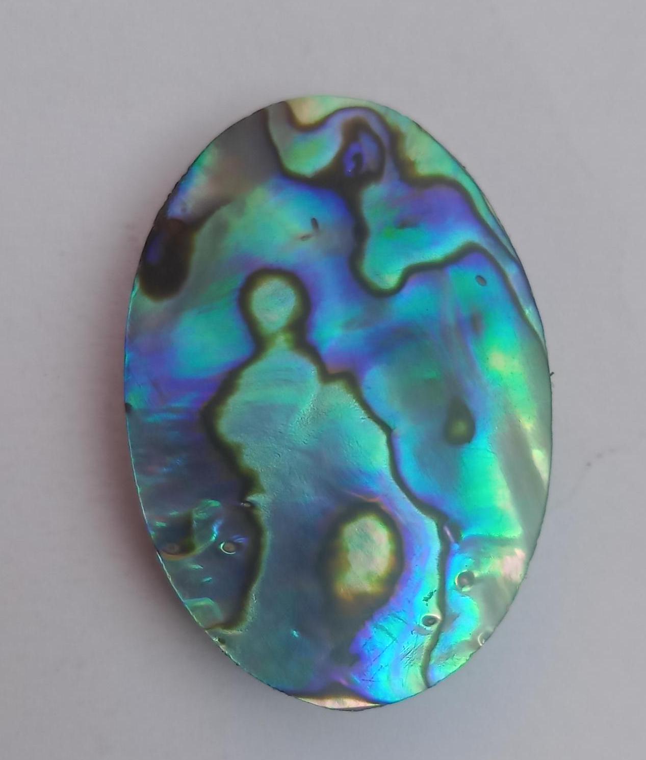 Peacock Inner Shell 100% Top Ormer Shell, Abalone Shell, Paua Shell, Perlemoen Shell,nacre ...