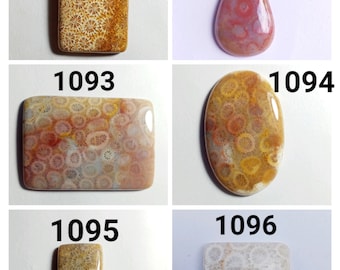 Fossil Coral Cabochon Gemstone Lot, Natural Top quality Fossil coral Cabochons, Multi fossil coral, Natural Multi Fossil coral cabochons Lot