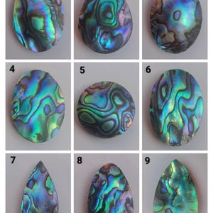 Pode incluir: Nove cabochões de concha de abalone iridescentes em várias formas e tamanhos. As conchas têm um acabamento perolado com tons de azul, verde e roxo.