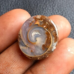 26 Cts. Fossil Snail Slice Natural Shell Cabochon Polish Marine Fossil Collector Piece Healing Crystal Decor Like Ammonite Druzy Slice gift.