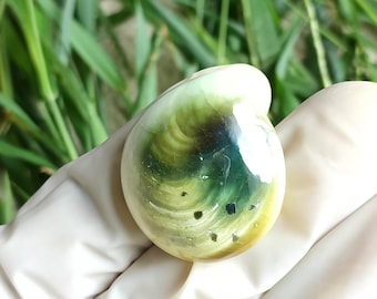 Gomti Chakra Shell Ädelsten: Naturlig Shiva, Lyckoamulett (38 st.)