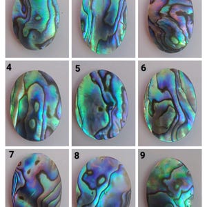 Cabochão de abalone genuíno por atacado, pedra preciosa de abalone, concha de abalone, concha de abalone solta, cabochão de abalone, concha de paua para fazer joias