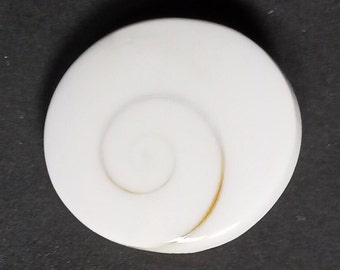 26 st. Lord Budha Ring Energiserad och Välsignad Gomti Chakra Naturlig Obehandlad Snäcka Tursten Man & Kvinna Lord Sällsynt, Naturlig Shiva Bättre Tur