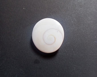 Naturligt Gomti Chakra-skal: Lyckoädelsten från Gomati-floden