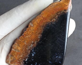 78 karat palmrotskiva. Högkvalitativ fossiliserad indonesisk palm. Kalcedonkvarts och jaspis. Del av den forntida jorden.