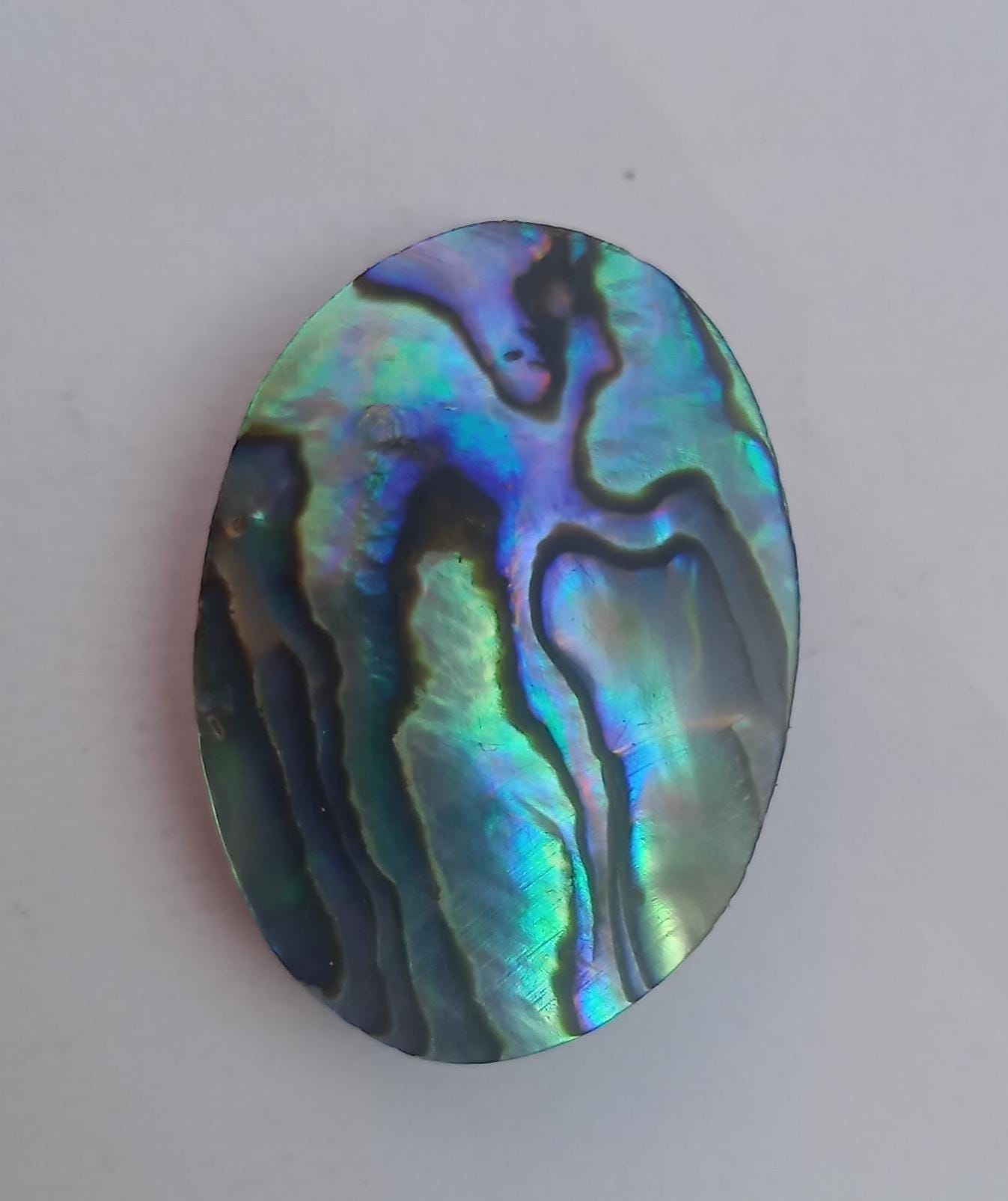 Peacock Inner Shell 100% Top Ormer Shell, Abalone Shell, Paua Shell, Perlemoen Shell,nacre ...