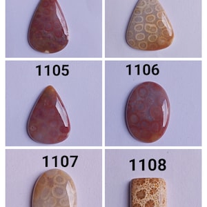 WOUNDERFUL CRYSTAL Fossil coral stone wholesale fossil coral cabochon lot fossil coral /Fossil coralformaking jewelry/Necklace/Ring gift her