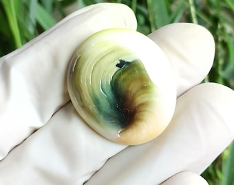 May include: An oval-shaped, polished stone with a swirling pattern of white, green, and brown hues. The stone is held by a gloved hand, with green foliage in the background. The stone's design resembles a miniature landscape.