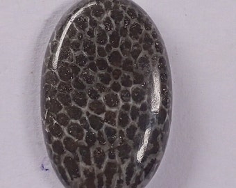 Piedra preciosa de coral fósil negro natural, cabujón de coral fósil negro de diseño con formas variadas, coral fósil negro suelto para la fabricación de joyas.