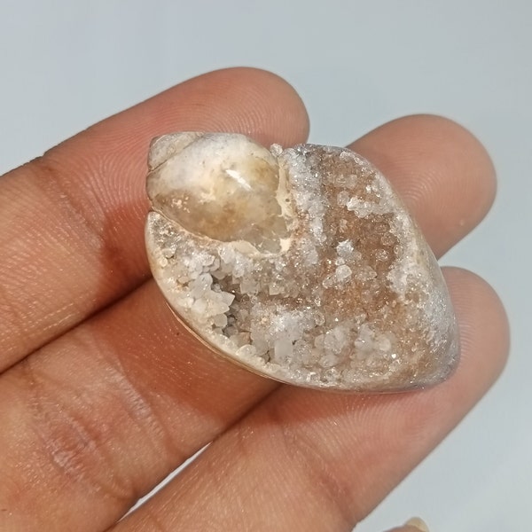 84 Cts. Top Grade AA Fossil Snail agate,Shell Druzy/Fossil Snail Druzy Gemstone For Making Jewelry, Seashell, Crystalized  shell,druzy Loose