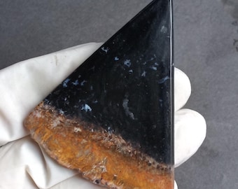 63 karat palmrotskiva. Högkvalitativ fossiliserad indonesisk palm. Kalcedonkvarts och jaspis. Del av den forntida jorden.