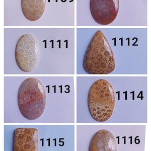 Fossil Coral Cabochon Gemstone Lot, Natural Top quality Fossil coral Cabochons, Multi fossil coral, Natural Multi Fossil coral cabochons Lot