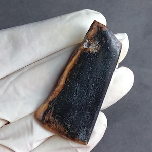 May include: A rectangular, dark-colored stone with a polished surface and a lighter, tan-colored edge. The stone has a natural, organic shape and appears to be a piece of petrified wood or similar material. A small, shiny inclusion is visible.