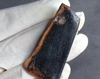 40 karat palmrotskiva. Högkvalitativ fossiliserad indonesisk palm. Kalcedonkvarts och jaspis. Del av den forntida jorden.