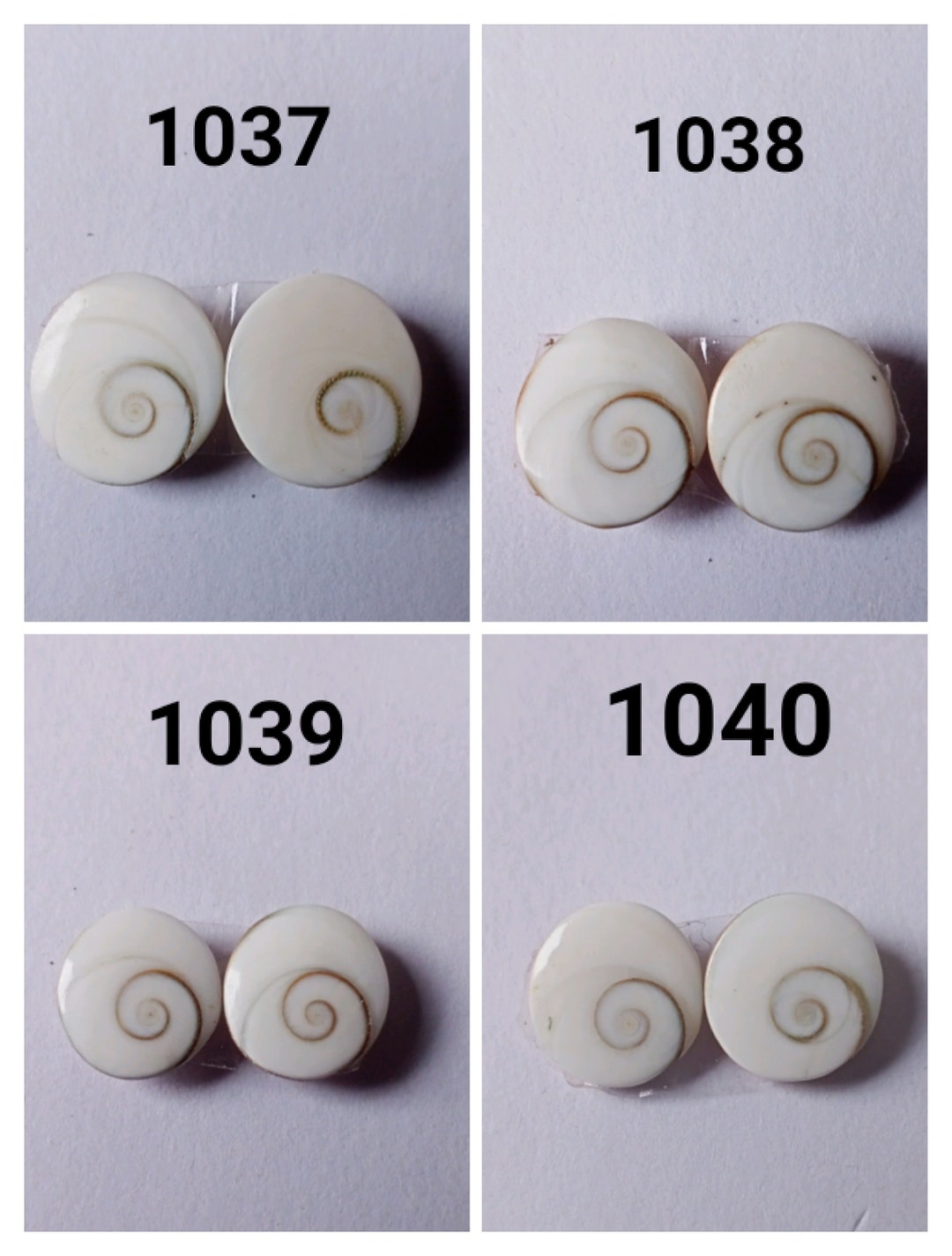 Pear for Earing, Shiva Earing, Shiva Eye Earing, Shell Jewelry, Eye of ...