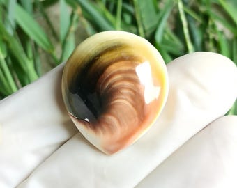 May include: A teardrop-shaped polished gemstone with a swirling pattern of brown, black, and cream colors. The stone is held in a white gloved hand, with green foliage in the background.