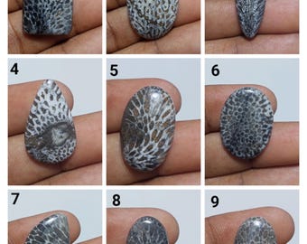 Coral fósil negro estético - Piedra natural de coral fósil negro - Gema de coral fósil de alta calidad - Cristal cabujón de coral fósil negro