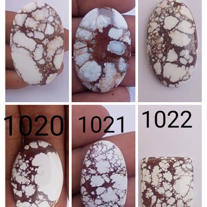 May include: Six oval and square shaped cabochons of white and brown patterned stone. The stones are numbered 1017, 1018, 1019, 1020, 1021, and 1022.