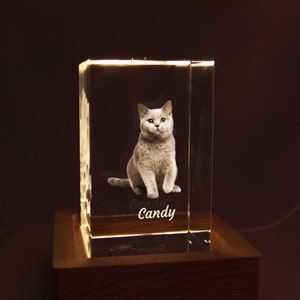 3D Crystal Photo Portrait Personalized with your Photo, Personalized 3D Crystal Photo, Pet Portrait in Crystal, Wedding Baby Shower