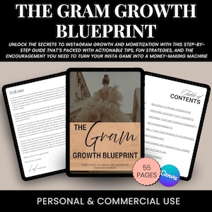 Instagram Growth Blueprint | Content & Audience Strategy Guide
