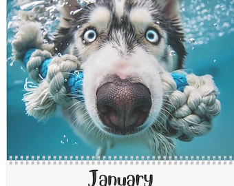 2026 Wet Noses Wall Calendar | Playful Underwater Dog Images | 12-Month Dog Lover Gift | Happy Swimming Dogs with Toys | Funny Canines