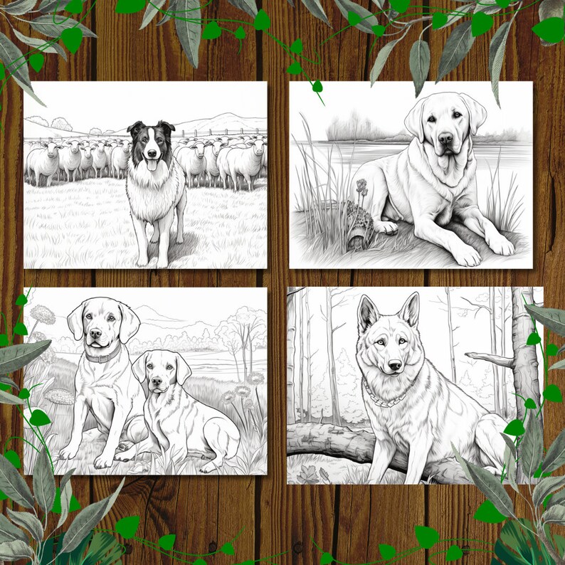 May include: Four black and white illustrations of dogs. The first image shows a border collie herding a flock of sheep. The second image shows a labrador retriever sitting by a lake. The third image shows two labrador retrievers sitting together. The fourth image shows a german shepherd sitting on a log in a forest.