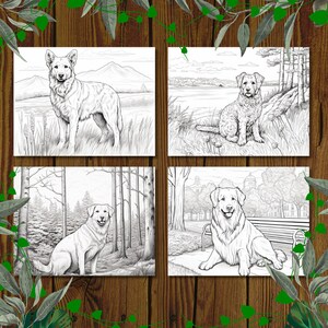 May include: Four black and white illustrations of dogs in different settings. The first image shows a German Shepherd standing in a field. The second image shows a curly-haired dog sitting in a grassy area near a lake. The third image shows a Golden Retriever sitting in a forest. The fourth image shows a Golden Retriever sitting on a sidewalk in front of a building.