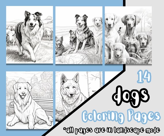 Dogs Coloring Pages for Kids and Adults, Dogs and Puppy Coloring Sheets, Dogs on the Beach, Creative Coloring, Human's Best Friends