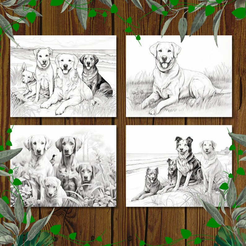 May include: Four black and white illustrations of dogs on a white background. The first image shows three Labrador Retrievers on a beach. The second image shows a single Labrador Retriever sitting in the grass. The third image shows three dogs in the woods. The fourth image shows three dogs on a beach.
