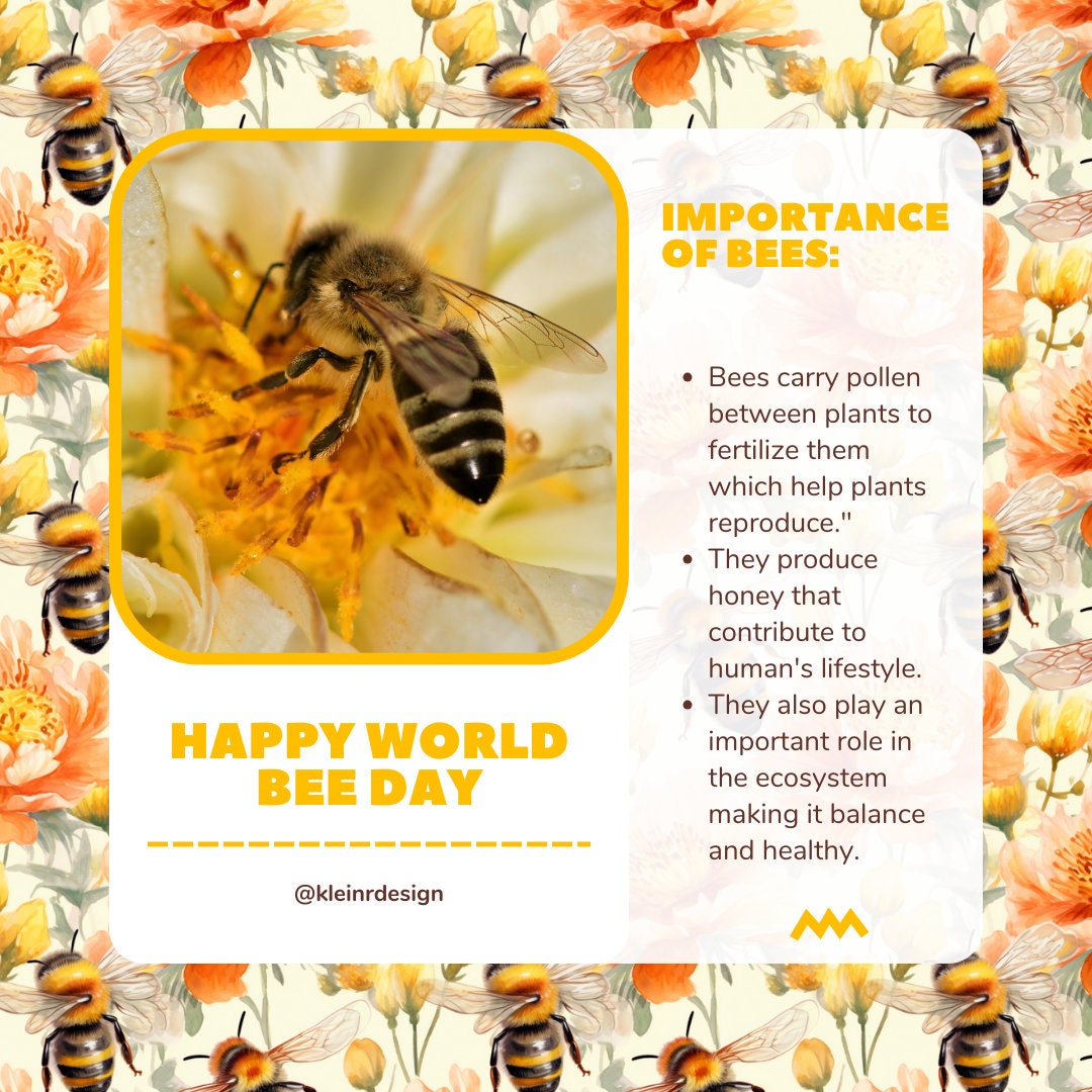 Watercolor Honey Bee Seamless Patterns, Bees Digital Paper, Floral ...