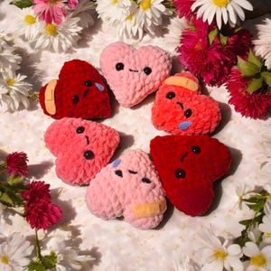 Può includere: Una collezione di giocattoli a forma di cuore in peluche fatti a mano, nei toni del rosso e del rosa. Alcuni cuori hanno occhi neri, bocche cucite e bende, con lacrime blu. I cuori sono circondati da fiori bianchi e rosa.