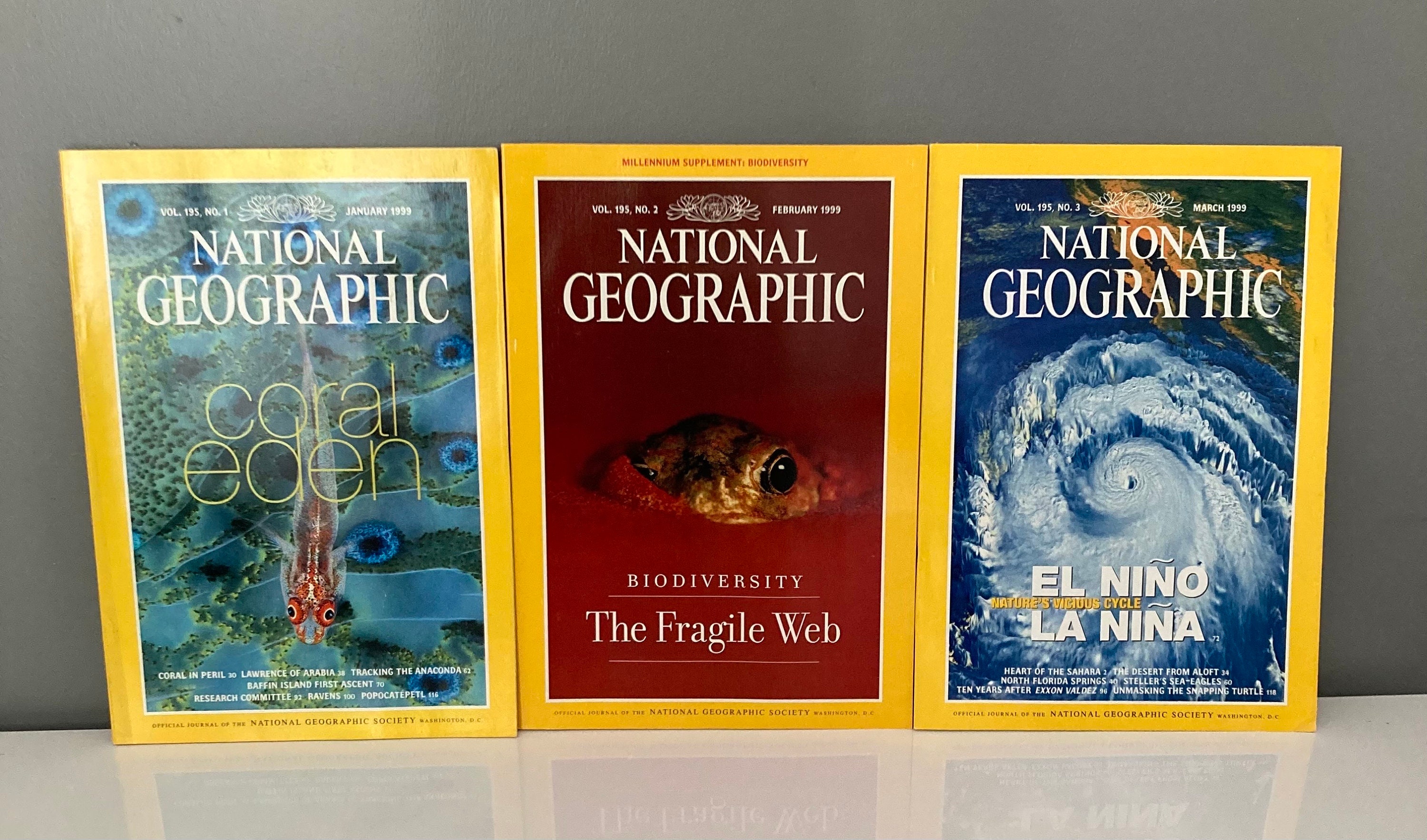 National Geographic Magazine - 1999 (12 Ausgaben - jeweils separat erhältlich)