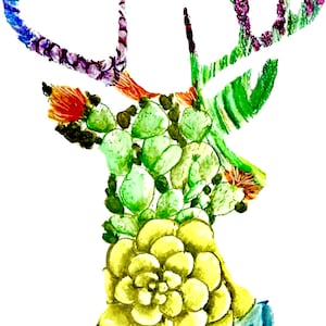 CERF SHAY