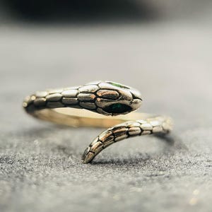 Könnte beinhalten: Ein silberfarbener Metallring in Form einer gewundenen Schlange mit texturierten Schuppen auf der Ringschiene. Der Schlangenkopf ist mit zwei kleinen, dunkelgrünen Steinen als Augen besetzt, und der Körper bildet einen offenen Ring.