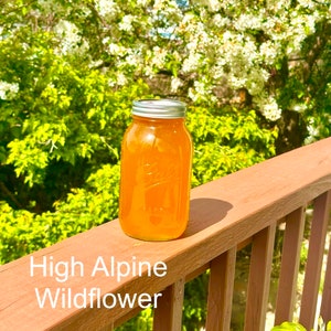 Raw Colorado Honey