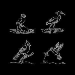 Può includere: Quattro disegni a linea bianca di uccelli su sfondo nero. Gli uccelli includono una pulcinella di mare su una roccia, un airone nell'acqua, un cardinale su un ramo e un colibrì con un fiore.